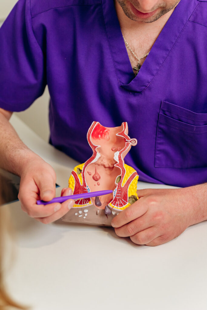 male proctologist doctor showing artificial model human rectum patient hospital consultation close up