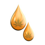 cbd oil drop from marijuana cannabis plant d rendering